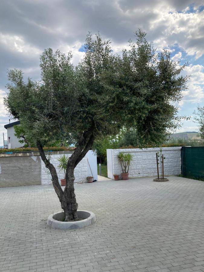 Villa Mater Matera Eksteriør bilde